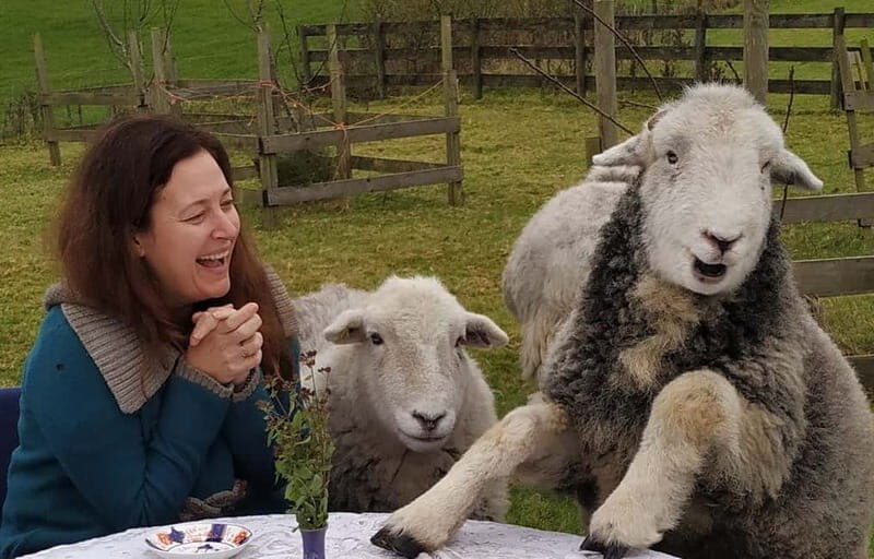 Scotland: Relaxation Retreat with Naughty Sheep - Key Points