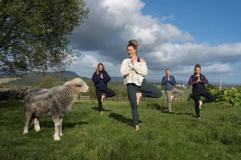 Scotland: Relaxation Retreat with Naughty Sheep - Practical Considerations