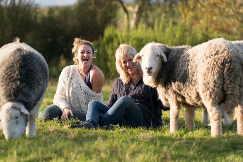 Scotland: Relaxation Retreat with Naughty Sheep - An Honest Look at the Relaxation Retreat with Naughty Sheep