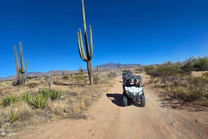 Scottsdale ATV/UTV 2 Person Sand Buggy Off-Road Desert Tour - The Sum Up: Who Will Love This Tour?