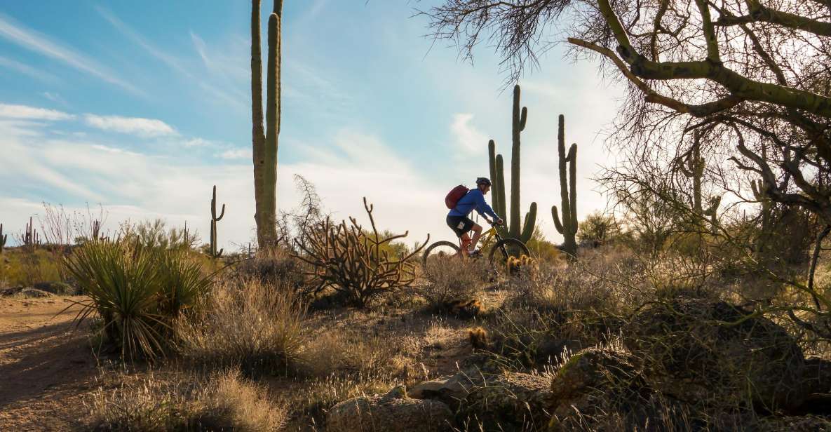 Scottsdale: Half-Day Sonoran Desert Mountain Bike Tour - Fitness Requirements