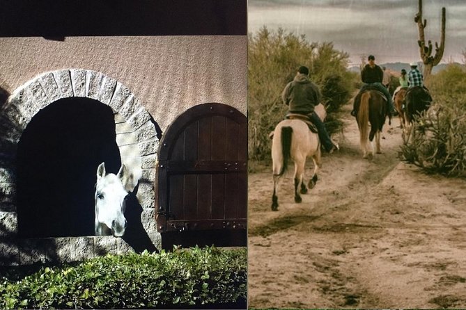 Scottsdale Horseback Riding and Horse Country Estate Tour - Good To Know