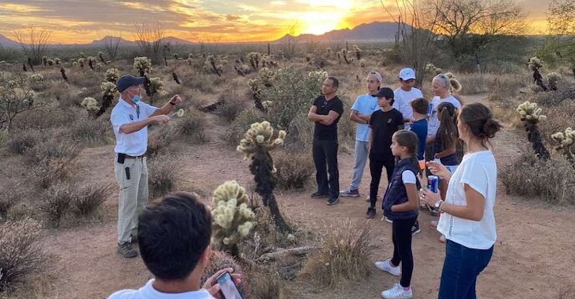 Scottsdale: McDowell Sonoran Preserve Hiking Tour - Discovering Desert Flora and Fauna