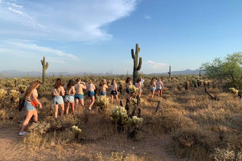 Scottsdale: McDowell Sonoran Preserve Hiking Tour - Meeting Point and Logistics
