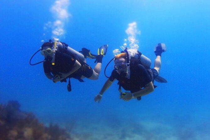 Scuba Certified Diving Immersion at Maroma Beach (1 or 2 tanks) - Who Should Consider This Tour?
