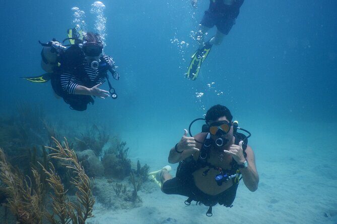 Scuba Dive and Snorkel Private Charter in Puerto Rico - Introduction