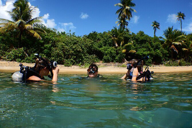 Scuba Dive and Snorkel Private Charter in Puerto Rico - Key Points