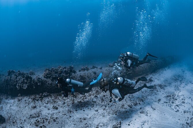 Scuba Dive at Electric Beach - What’s Included and Important Details