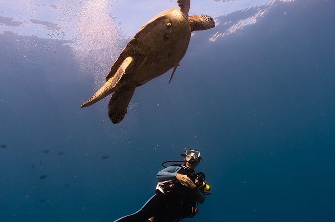 Scuba Dive at Electric Beach - FAQ