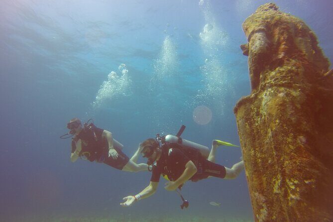 Scuba Dive at Musa Cancun for Certified Divers - What’s Included and What to Expect