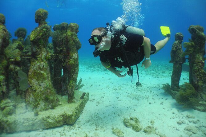 Scuba Dive at Musa Cancun for Certified Divers - Authentic Experiences and Feedback