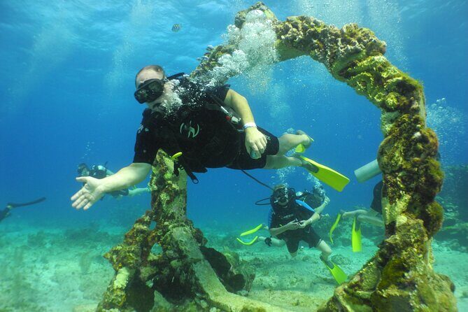 Scuba Dive at Musa Cancun for Certified Divers - Final Thoughts: Who Should Consider This?