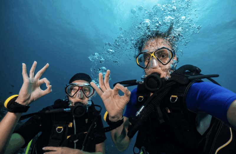 Scuba Dive in Bulldog Reef, Kalpitiya - Good To Know