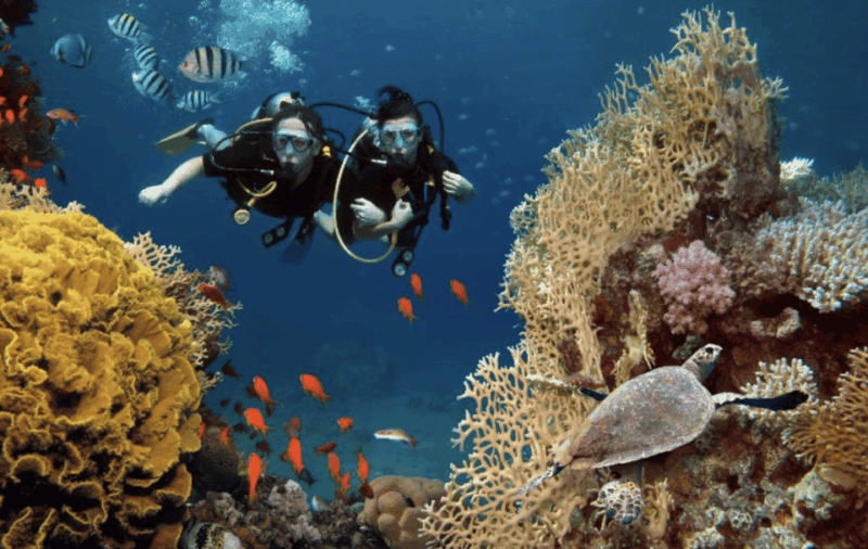 Scuba Dive in Madonna Rock, Nha Trang - Inclusions