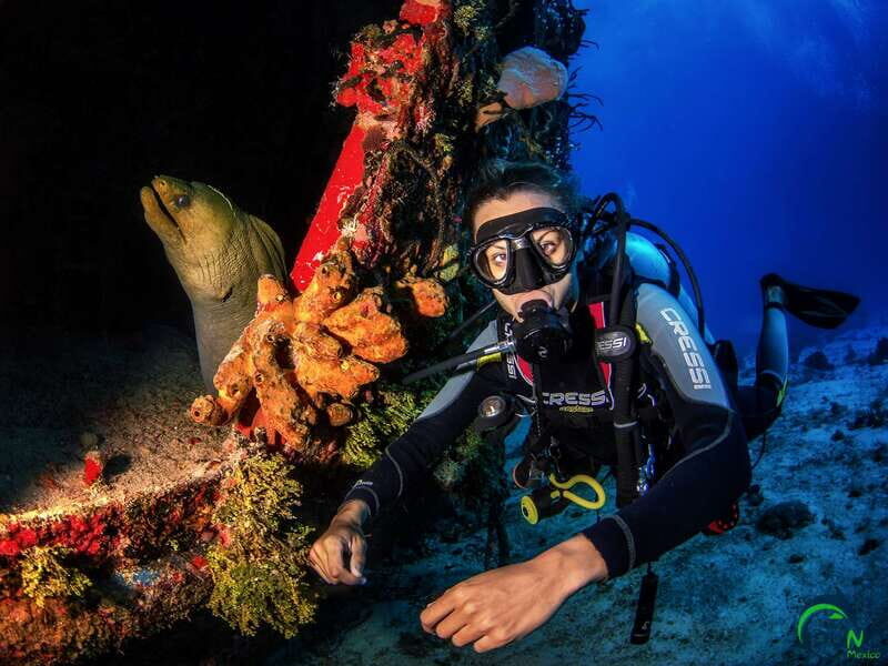 Scuba Dive in Playa del Carmen - 2 Dives (Certified divers) - Pricing and Value