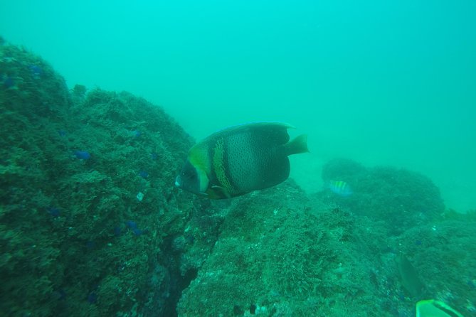 Scuba Diver Certification - Health Prerequisites