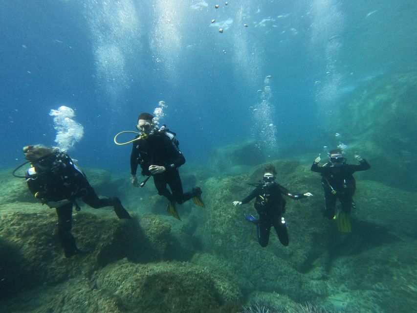 Scuba Diving 1 Day Course in Villasimius - Key Points