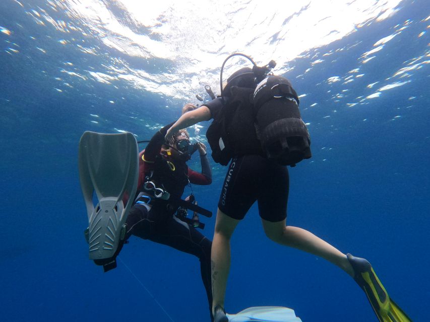 Scuba Diving 1 Day Course in Villasimius - Course Price and Savings