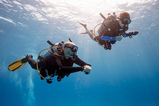 Scuba Diving Activity in Dubai With Hotel Pickup - Meeting and Pickup Locations