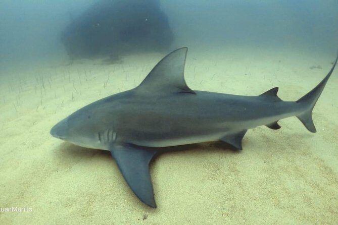 Scuba Diving adventure Cabo pulmo - How the Tour Unfolds: Itinerary Breakdown