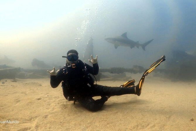 Scuba Diving adventure Cabo pulmo - Who Will Love This Experience?