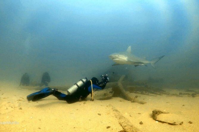 Scuba Diving adventure Cabo pulmo - Additional Considerations