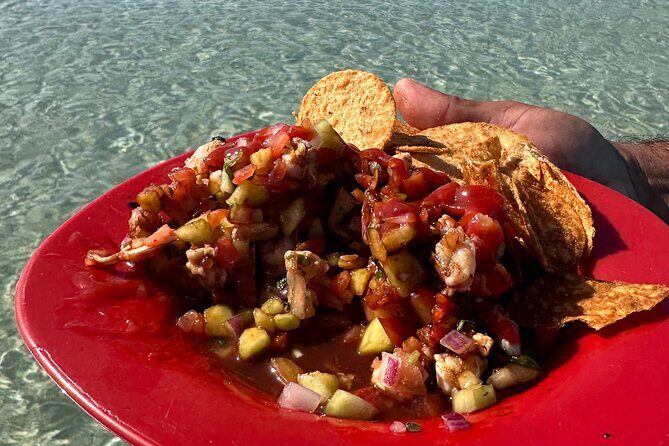 Scuba Diving Adventure in La Paz - Wildlife and Additional Sightings