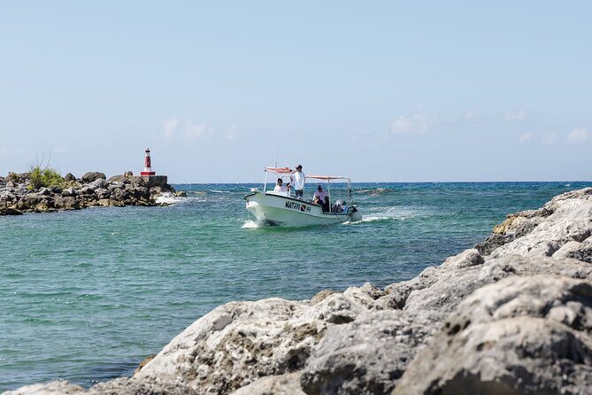 Scuba Diving around the Riviera Maya Reefs - The Safety and Booking Experience