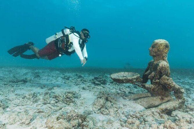 Scuba Diving at Catalina Island - 2 tank - for Certified Divers - The Sum Up