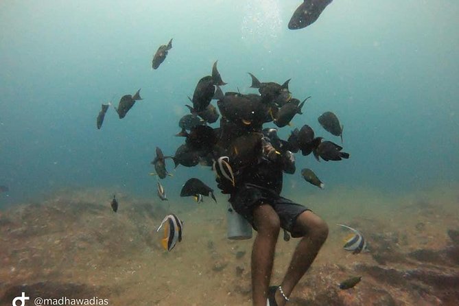 Scuba Diving at Unawatuna - Booking Your Dive