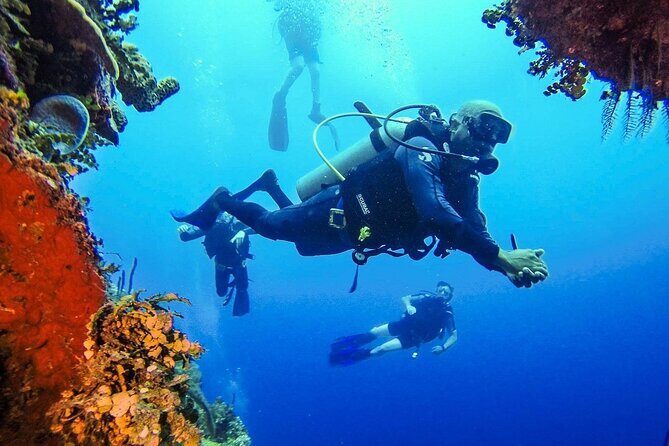 Scuba Diving Catalina Island from Punta Cana - Value and Practical Considerations