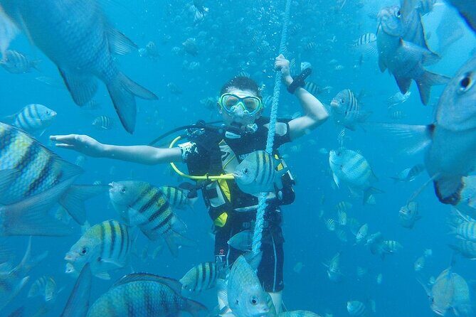 Scuba Diving Catalina Island from Punta Cana - The Sum Up: The Right Choice for Many Travelers