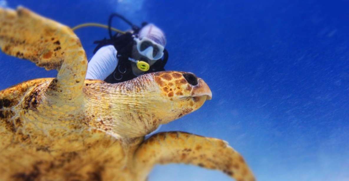 Scuba Diving Certification Course: 2 Days in Maroma Beach - Pricing and Booking Details