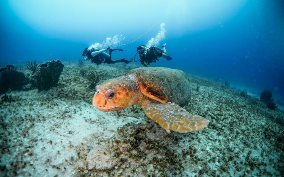 Scuba Diving Certification Course: 2 Days in Maroma Beach - Scuba Equipment and Gear