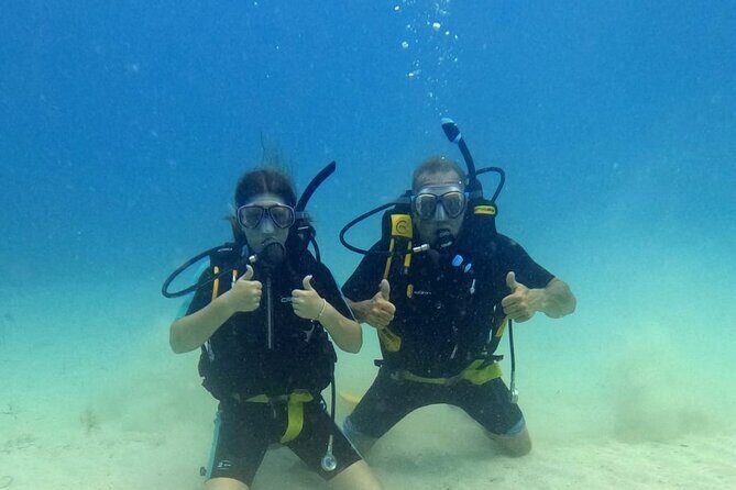 Scuba Diving Discovery in the Crystal Water DE Bayahibe - What to Expect from this Unique Underwater Adventure