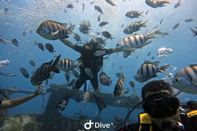 Scuba Diving Discovery in the Crystal Water DE Bayahibe - FAQ
