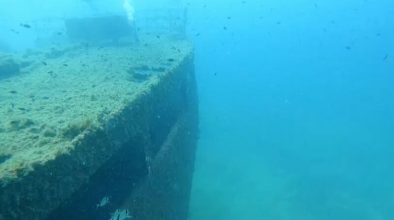 Scuba Diving - Dive for Certified Divers - Inclusions and Exclusions