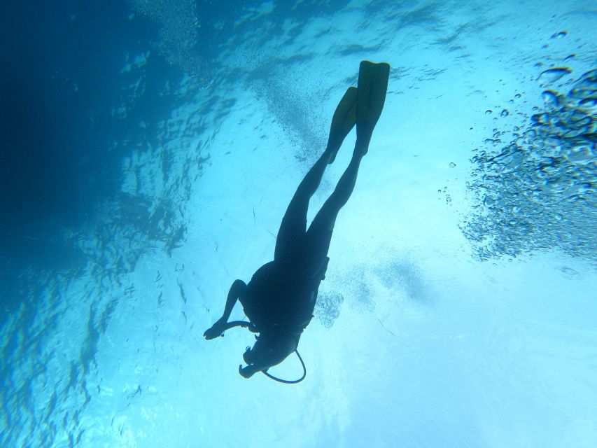 Scuba Diving Excursion in the Marine Protected Area - Meeting Point