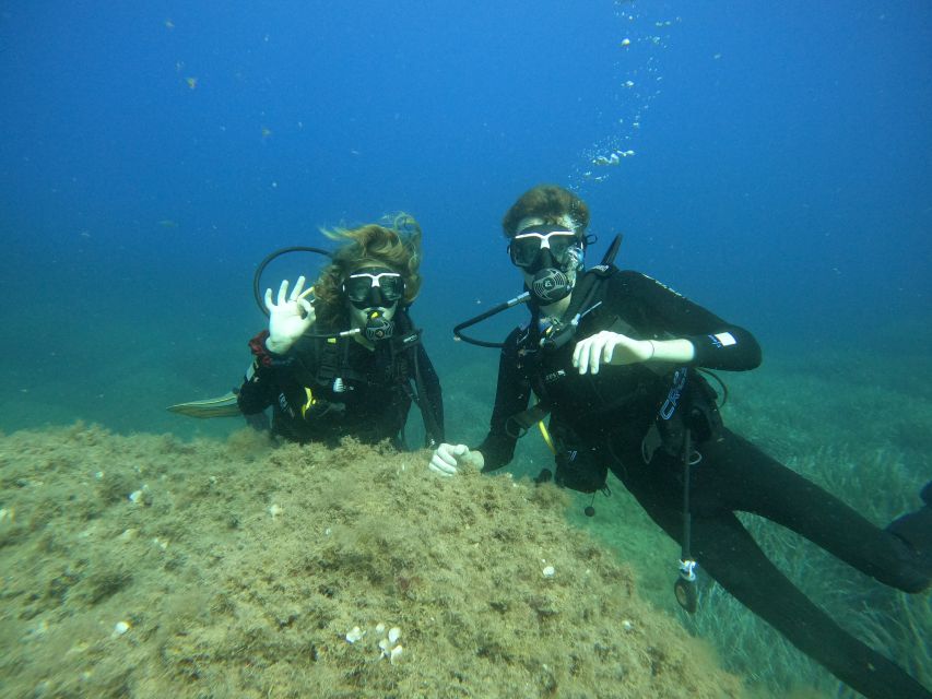 Scuba Diving Excursion in the Marine Protected Area - Diving Activities