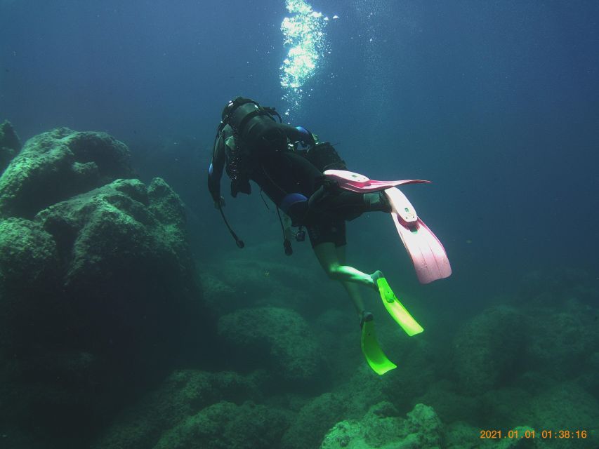 Scuba Diving Experience for Beginners - Pricing and Duration