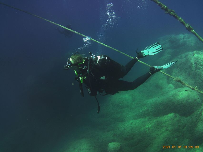 Scuba Diving Experience for Beginners - Customer Reviews and Ratings
