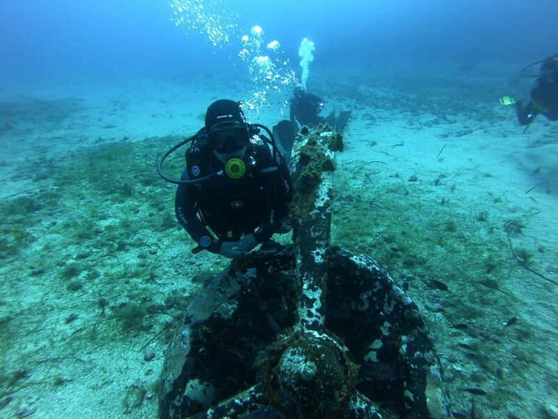 Scuba diving experience in La Maddalena : Baptism of the sea - Is It Worth the Price?