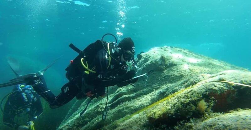 Scuba diving experience in La Maddalena : Baptism of the sea - The Sum Up: Is It Worth It?