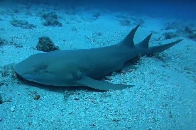 Scuba Diving Experience in West Palm Beach - FAQ