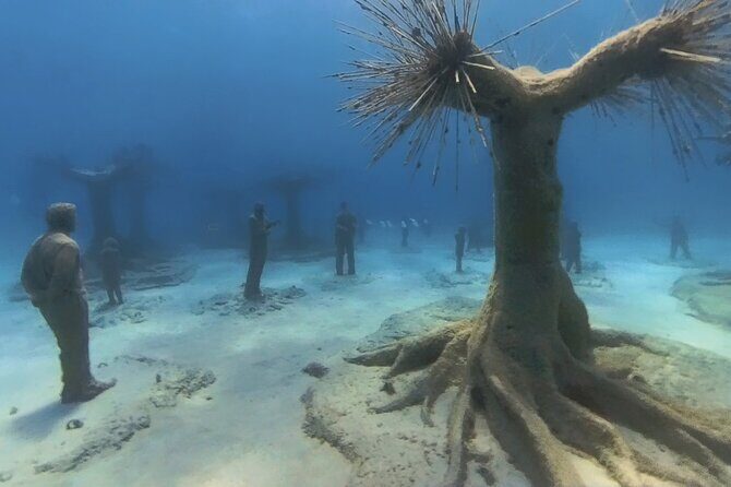 Scuba Diving Experience & MUSAN Dive + Free Edited Video 2xdives - Discover the Underwater World with Nautilus Scuba Diving Centre in Cyprus