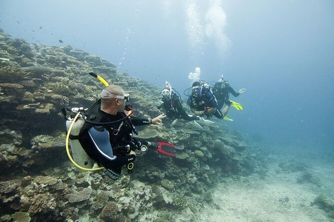 Scuba Diving For Beginners - Best Diving Spots in Sri Lanka