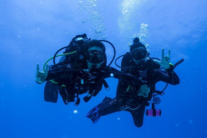 Scuba Diving for Beginners Playa del Carmen or Tulum - The Guides: Your Safety Nets and Cheerleaders