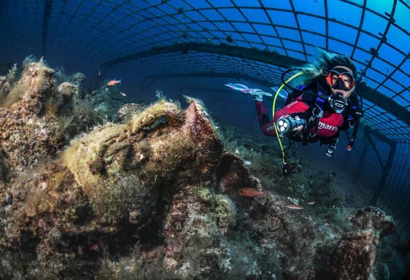 Scuba Diving for Certified Divers - Final Thoughts: Who Will Love This?