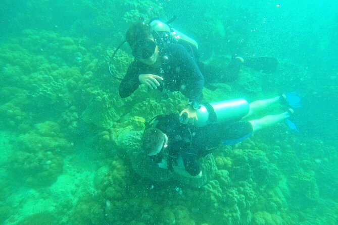 Scuba Diving for Certified Divers in Phu Quoc Island - Transportation and Logistics