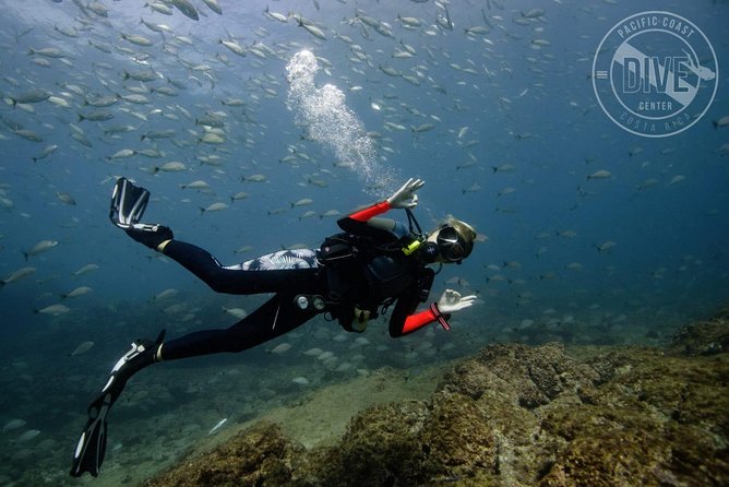 Scuba Diving for Non-Certified Divers at Catalina Islands & North Island - CR - Participant Requirements